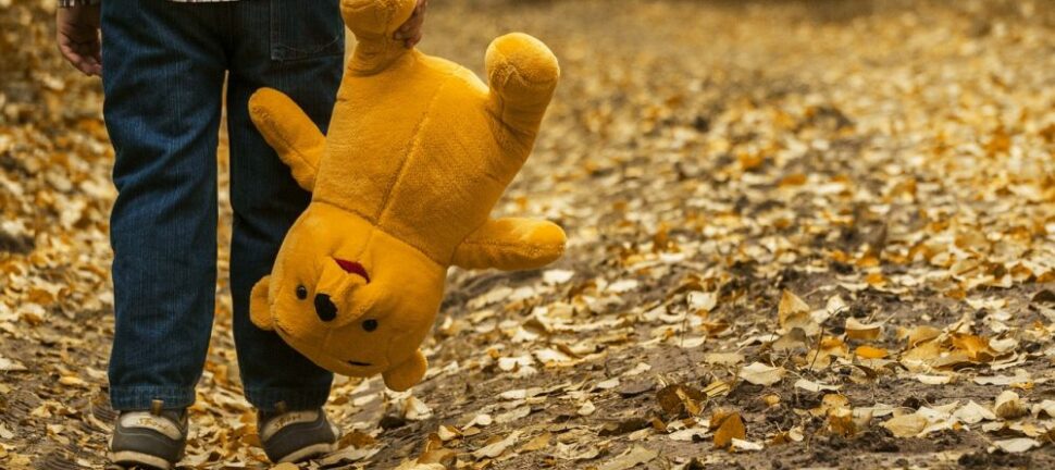 Leksaker för 2-åringar: En grundlig översikt