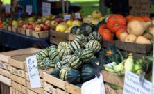 Ekologisk gurkmeja: En översikt av en mångsidig och populär krydda