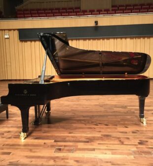 Den Prestigefyllda Steinway Flygeln: En Klangfull Symfoni av Tradition och Innovation